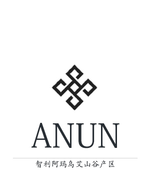 【智利】ANUNWINES安能庄园(Almahue智利阿玛乌艾山谷）